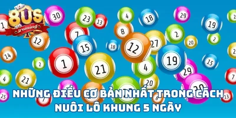 Những điều cơ bản nhất trong cách nuôi lô khung 5 ngày