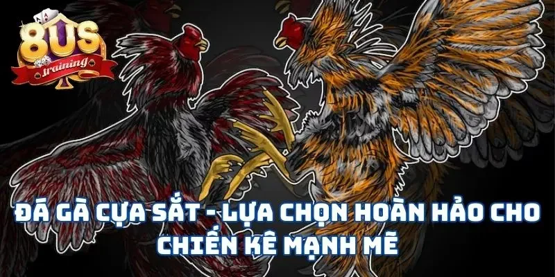 Đá Gà Cựa Sắt - Lựa Chọn Hoàn Hảo Cho Chiến Kê Mạnh Mẽ