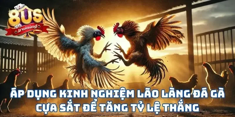Áp dụng kinh nghiệm lão làng đá gà cựa sắt để tăng tỷ lệ thắng