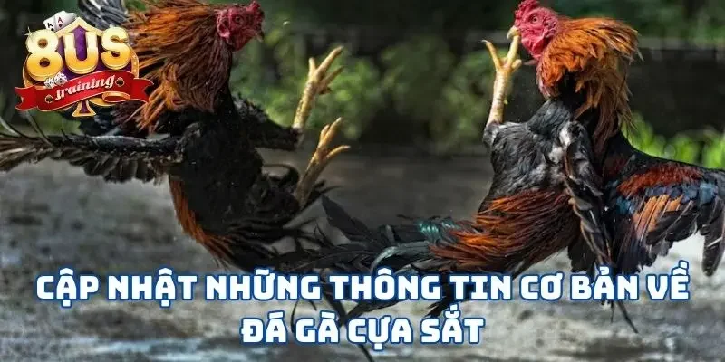 Cập nhật những thông tin cơ bản về đá gà cựa sắt
